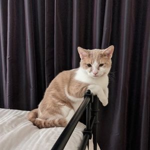 Meet your Posher, Kristine